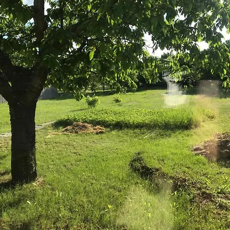 Eletvirag Rezidencia Es Vendeglak